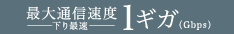 最大通信速度下り最速1ギガ（Gbps）